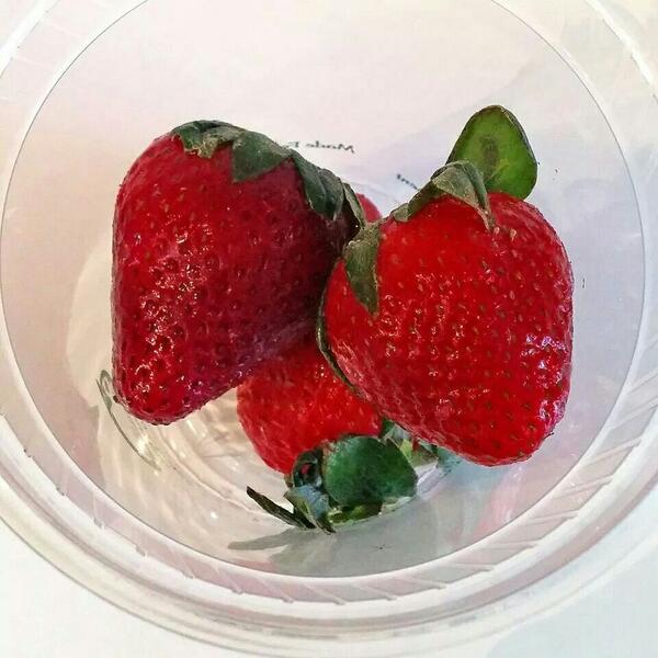 GreenBarHamOnt's tweet photo. RT to get today's #SmoothieOfTheDay for only $5! Strawberry Banana! #HamOnt #greensmoothies http://t.co/y2dH11cUDT