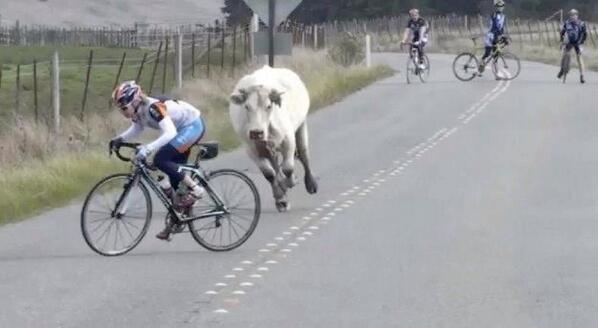 Like something you would see in Kerry #Ringofkerry #RingofKerryCharityCycle #TDF2014