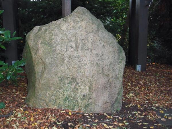wikipiedras's tweet photo. http://t.co/XrzEo2lzW2