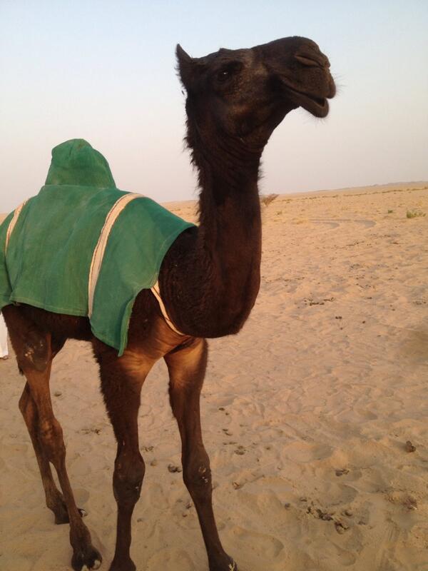 al__abl's tweet image. هزام ولد مسكت ملك ذعار مرداس الرجباني http://t.co/UBklJEwFIr"”