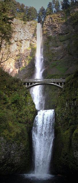 travellover21's tweet photo. Breathtaking waterfall, Portland http://t.co/IBeqH56XwO