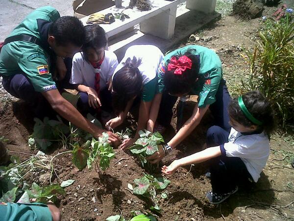 Nany10Ra's tweet photo. #BuenaAccion #PuebloLibreDelSeonee @EduardoEstanga1 http://t.co/OiiVKmtjBq