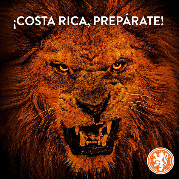 OnsOranje's tweet photo. Vandaag mag de leeuw weer los, Costa Rica bereid je voor! #NED vs #CRC #NedCos #WorldCup #SSWG http://t.co/ZCFb8R4Z2B