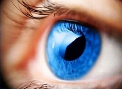 MundoDCuriosos's tweet photo. ¿Sabias que la pupila de tus ojos se expande hasta un 45% cuando ves a la persona que amas? http://t.co/MvyalX3htN