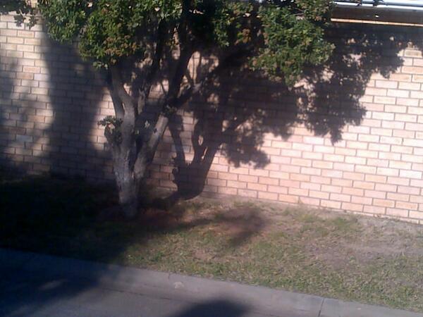 sex_cycle's tweet photo. http://t.co/JqhQpW4Mjo