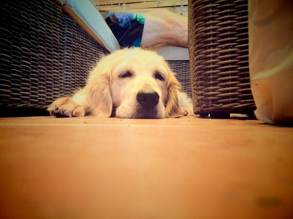 norit6's tweet photo. siesta de bebeee http://t.co/sJSK3mbtsQ