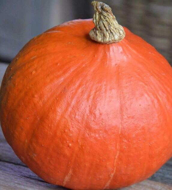 Hup Holland hup!
Pompoensoep!
myfoodnstyle.com