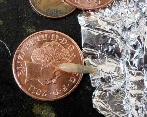weird_sci tweet picture