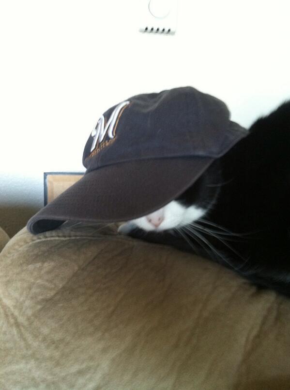 ashsc85's tweet photo. Dalphie in Tacoma, WA rockin the #brewers cap.  #Wisfanphoto http://t.co/RCxAI8JbDq