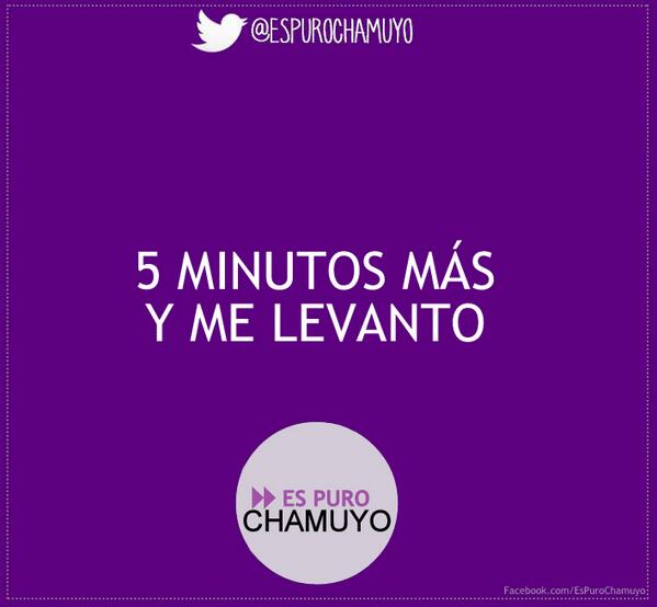 Es Puro Chamuyo tweet media