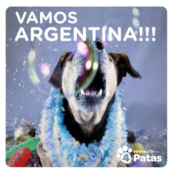4_proyecto's tweet photo. Pasamos a Semifinales http://t.co/m05BzvQKfu