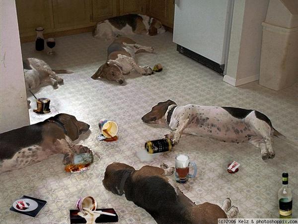 Team_ADR_'s tweet photo. You drink plenty of water yesterday to prevent ending up like these guys? In case you didn't http://t.co/8NmGasLErt http://t.co/jPsBWNTWS0