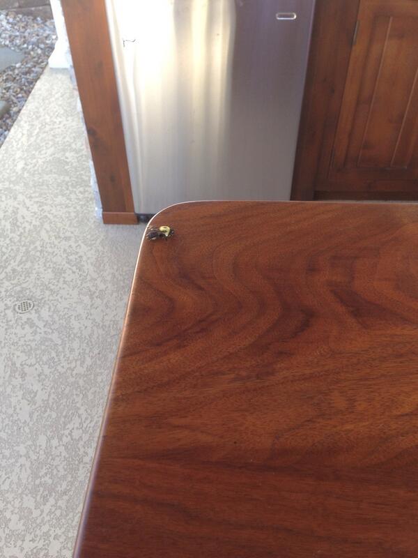 "@OpTic_Scumper: Marvin "his name is Marvin lol