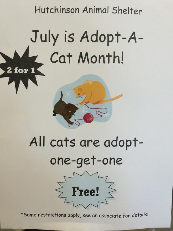 Hutch Animal Shelter (@HutchShelter) / Twitter Hutch Animal Shelter (@HutchShelter) / Twitter