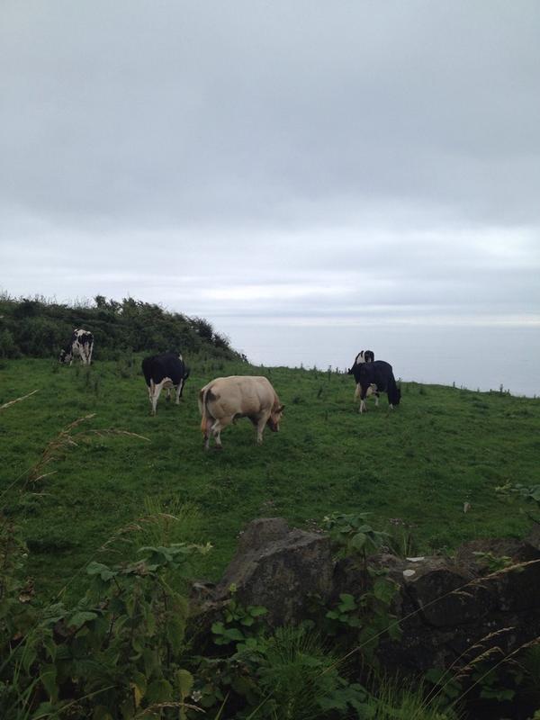 DebbiesUnislim's tweet image. lazy Sunday, no rushing to join the rat race.   2 mile walk done &amp;amp; appreciated everything around me.