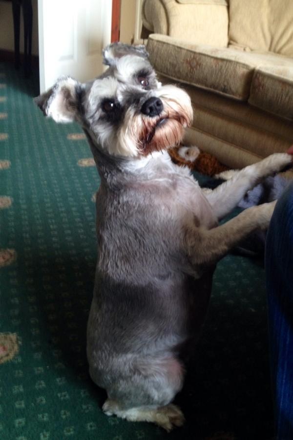 DebbiesUnislim's tweet image. lazy Sunday, no rushing to join the rat race.   2 mile walk done &amp;amp; appreciated everything around me.