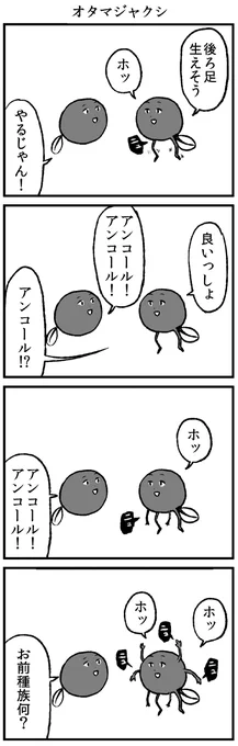 オタマジャクシの4コマ 