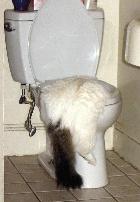 TiddlesTony's tweet photo. I'm never drinking again #wasted http://t.co/vnIUdXb30y