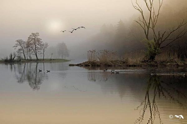 Gabriele Corno tweet media