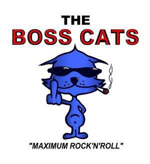 rexgoldsmith's tweet photo. Looking forward to my band playing albury festival today. The Boss cats on stage at 2.45 http://t.co/tqJ8nt8aA8