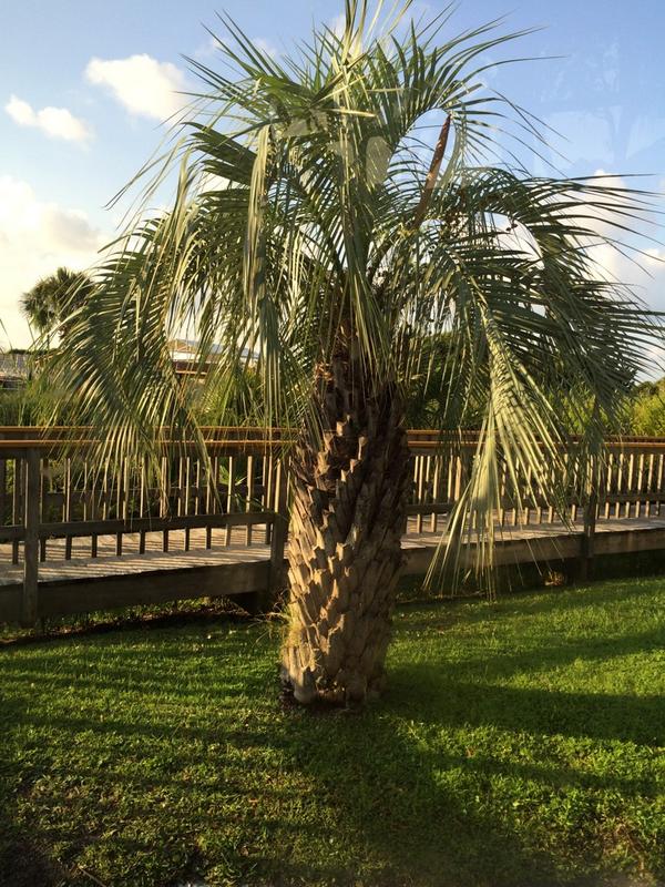 Literally_Agie's tweet image. Going to miss #fits2014 #funintheson