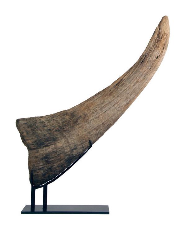 BarnesCurios's tweet photo. @Jamie_Woodward_ @mark_carnall @ViaAntiqua Got library + tusk... Now looking for some bones! #IceAge #fossilfriday http://t.co/2y4yAI43E4