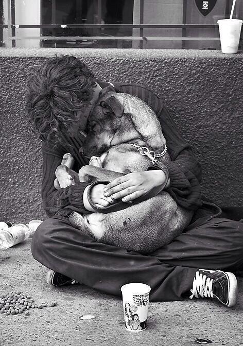 _Paisajes_'s tweet photo. Un perro siempre te ama, incluso cuando nadie más lo hace... http://t.co/GaOXmJDJvp