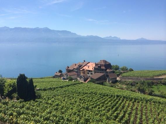 #Lausanne #lunch #terrace view