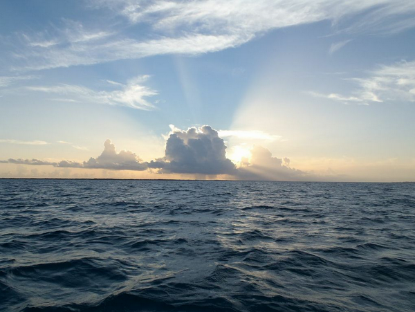 RealSaltLife's tweet photo. It is FRIDAY!!!  Enjoy your day and stay salty!!

#SaltLife http://t.co/q1pfpweYyh