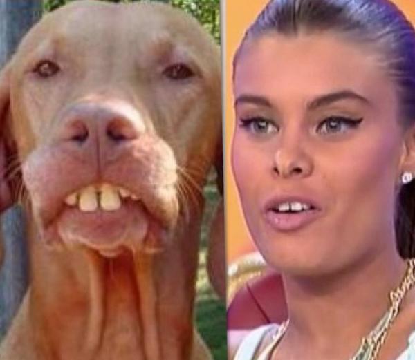 Colmenero's tweet image. Andrea y Triana... esto ya parece un zoológico. #myhyv