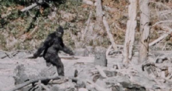 Снежный человек читать. Тибетский йети. Снежный человек читать. Непальский йети. Снежный человек читать.