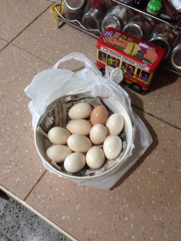 fuadabubakr's tweet image. An "old lady" bring some creole eggs for me. She say "Keep up the good work son!" She Gas me up there ! #protestready