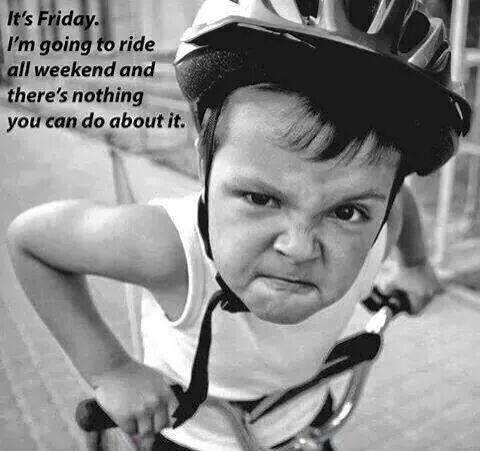 AnotherWall's tweet photo. Heading for the weekend http://t.co/O1N5seSV5W