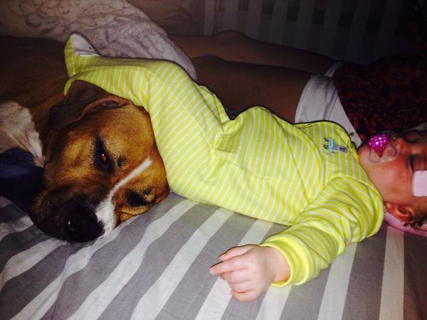 SYNRECORDS's tweet photo. #ItsAGoodDayLA @mariasearth @MariaSansone your biggest fan Rylee Marie and her Pitbull wanna sleep in this morning! http://t.co/nPoHFbb5eO