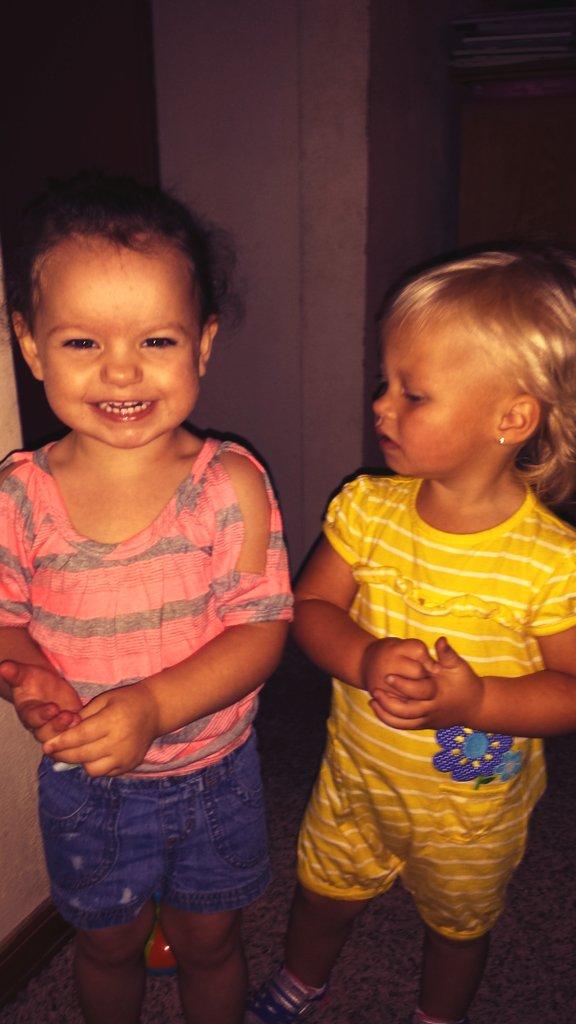 Lauren Zelechowski tweet media