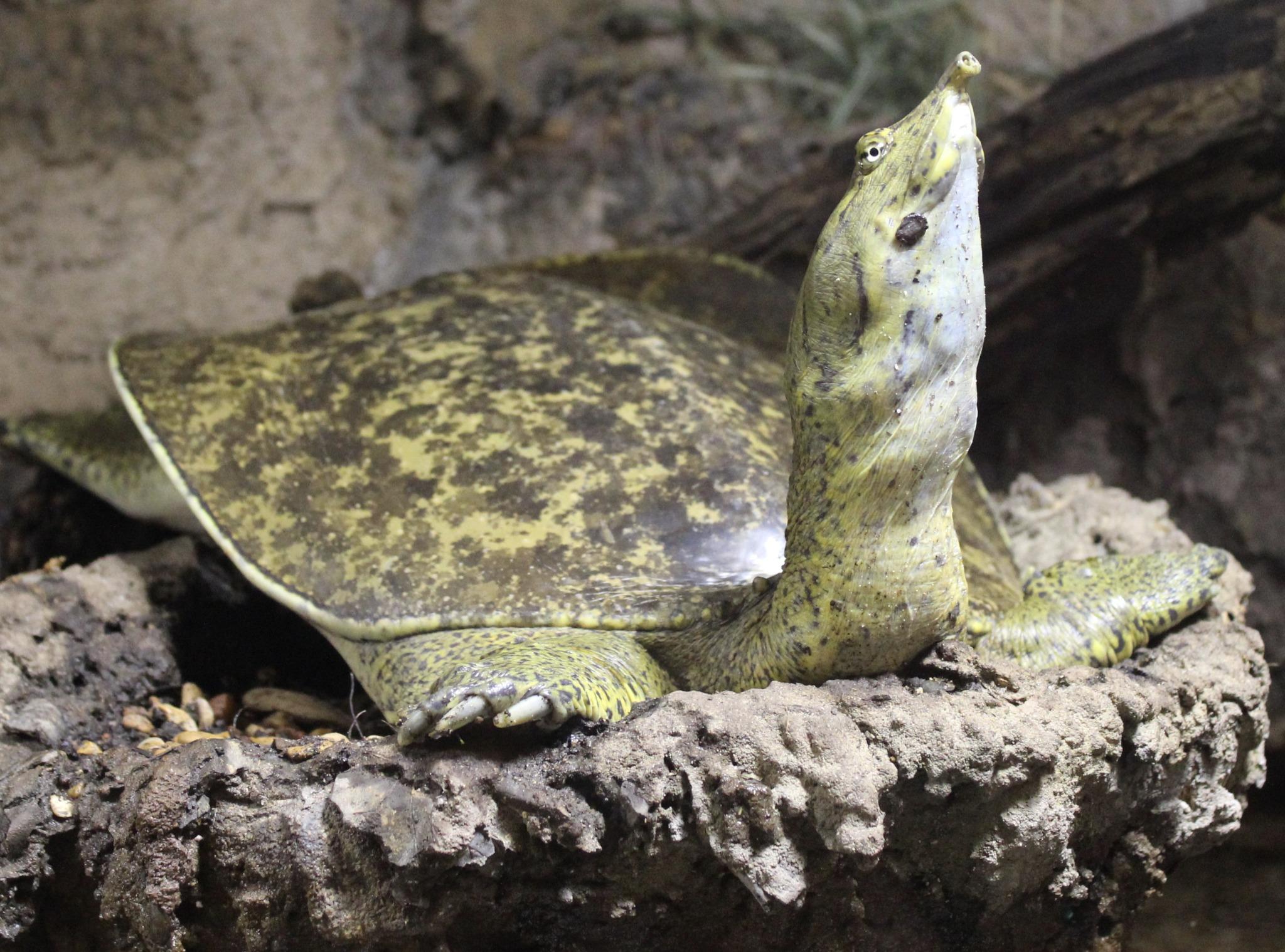 River Legacy (@rlsciencecenter) | Twitter