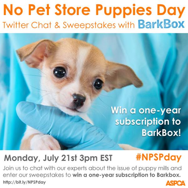 no pet store puppies day