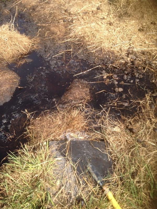 Bron: StalSprenkeling 