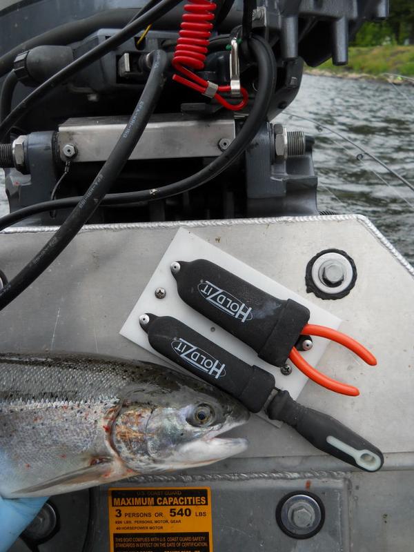 Holdzit's tweet image. Why do you have a rusty hook file or pliers? Never again with a #toolsaver. #holdzit #hookfile