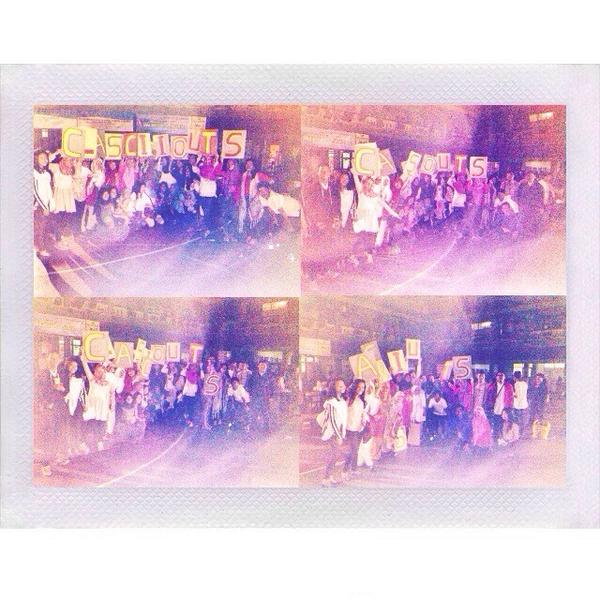 XII IPA 4 tweet media