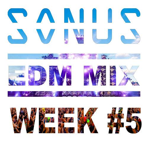 DJSonus's tweet image. EDM Mix Week 5 OUT: tinyurl.com/EDMMix5 #EDM #House #aoki #hardwell #tiesto #tomorrowland instagram.com/p/qmTGy9Pl-Y/?…