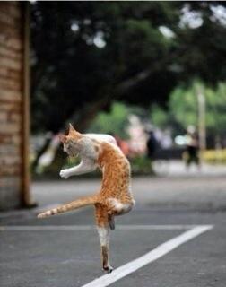 SeylerGuzel's tweet photo. Amanin http://t.co/7k8RsogDv7
