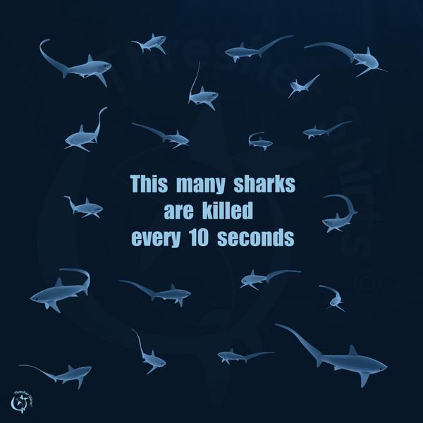 Seasaver's tweet image. "This many #sharks are killed every 10 seconds" via @thresher_shirts #overfishing