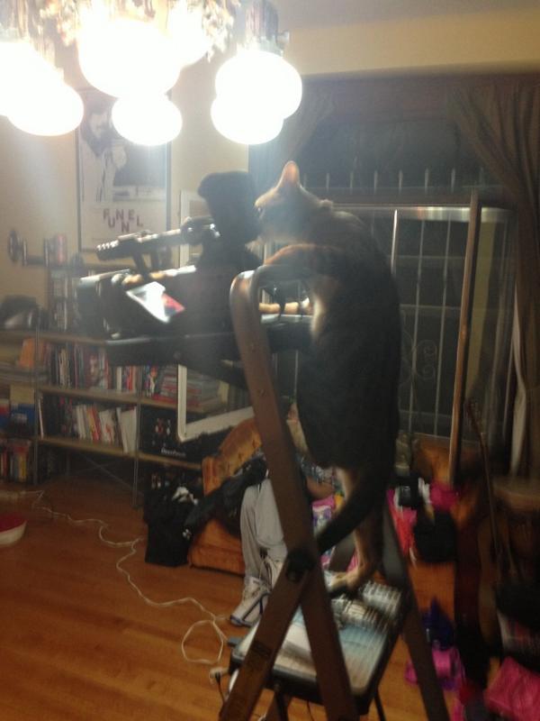 Embedded image permalink