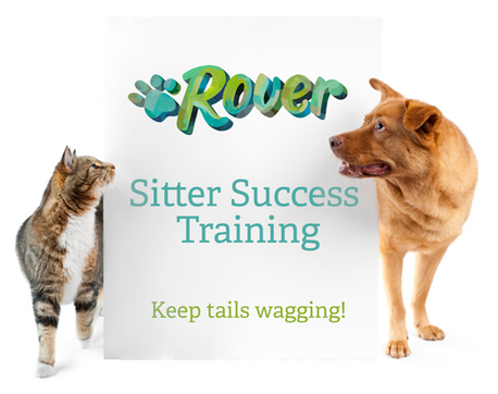 RoverSFO's tweet photo. #RoverSitterTip Take the sitter training quiz &amp; earn a training badge to improve your profile! http://t.co/pXB7cQN4Kh http://t.co/DQJftyPxX9