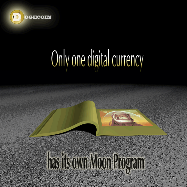 verycharity's tweet photo. @glxp @TeamPhoenicia1 such journey how rocket #dogepollo #dogecoin http://t.co/YQP32FYB5W