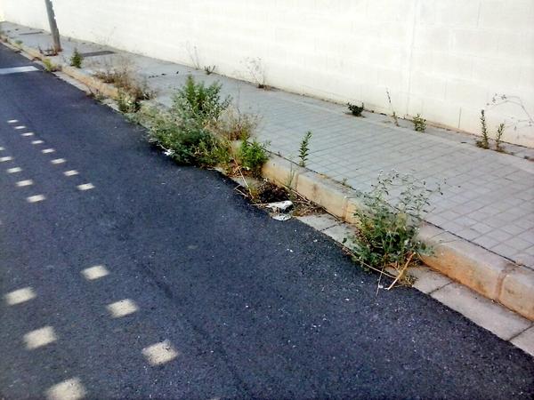 PSOEDENIA's tweet image. Por donde pasa #Kringe en #Denia a hacerse la foto, vuelve a crecer la hierba por "olvido" #ellahaciendosefotos