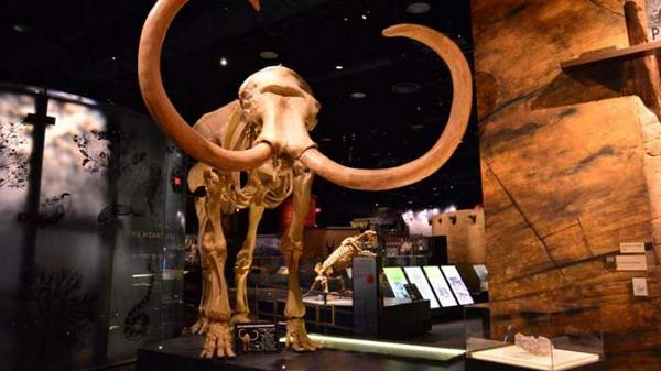 TravelNevada's tweet photo. #NevadaAdventure: Las Vegas is for museum junkies. http://t.co/bU6cvHdPaE #Vote at http://t.co/cwqQ6fJt8E http://t.co/Ok45Va7VFX