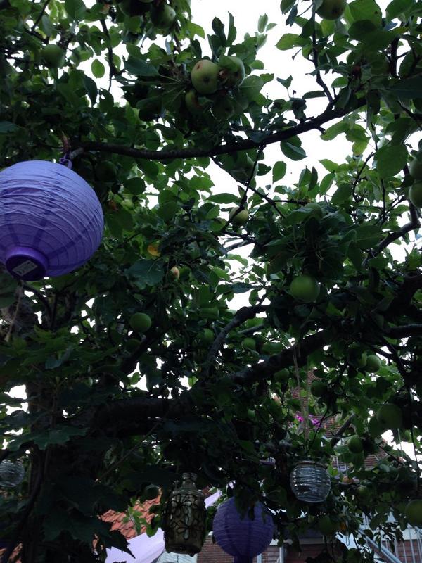 makkiemulder's tweet photo. Onder de appelboom bij #visenmeer #woudsend http://t.co/rDH7KrHOV8