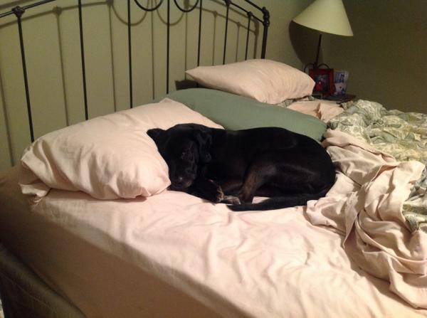 Who's been sleeping in my bed?